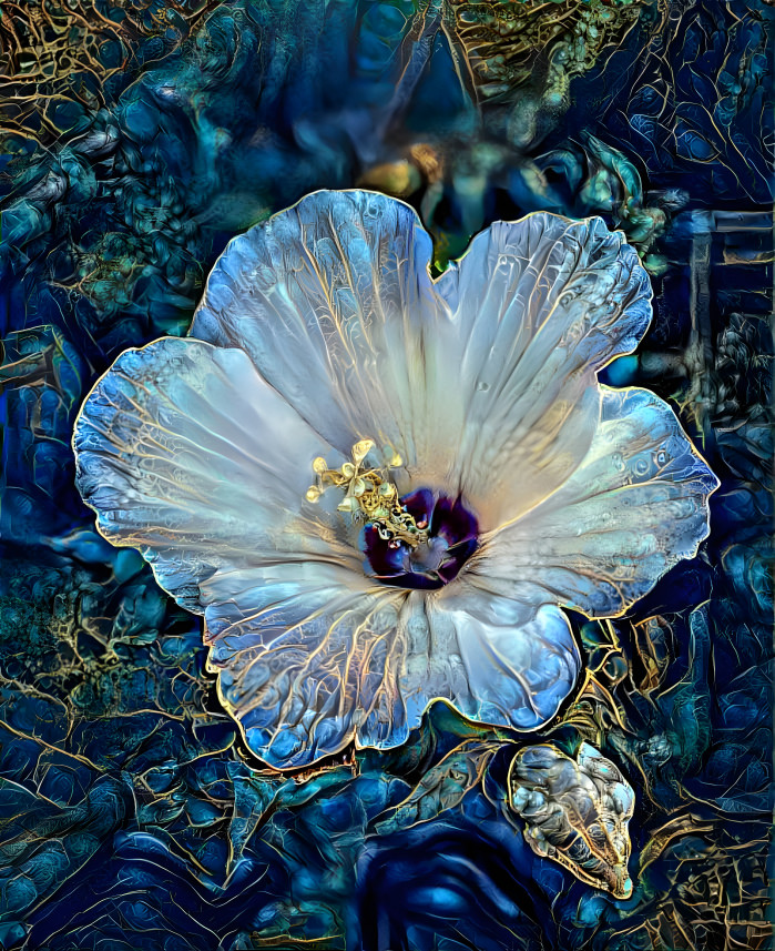 Hawaiian hibiscus