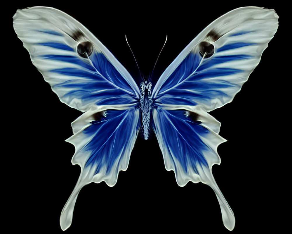 Symmetrical blue and white butterfly graphic on black background