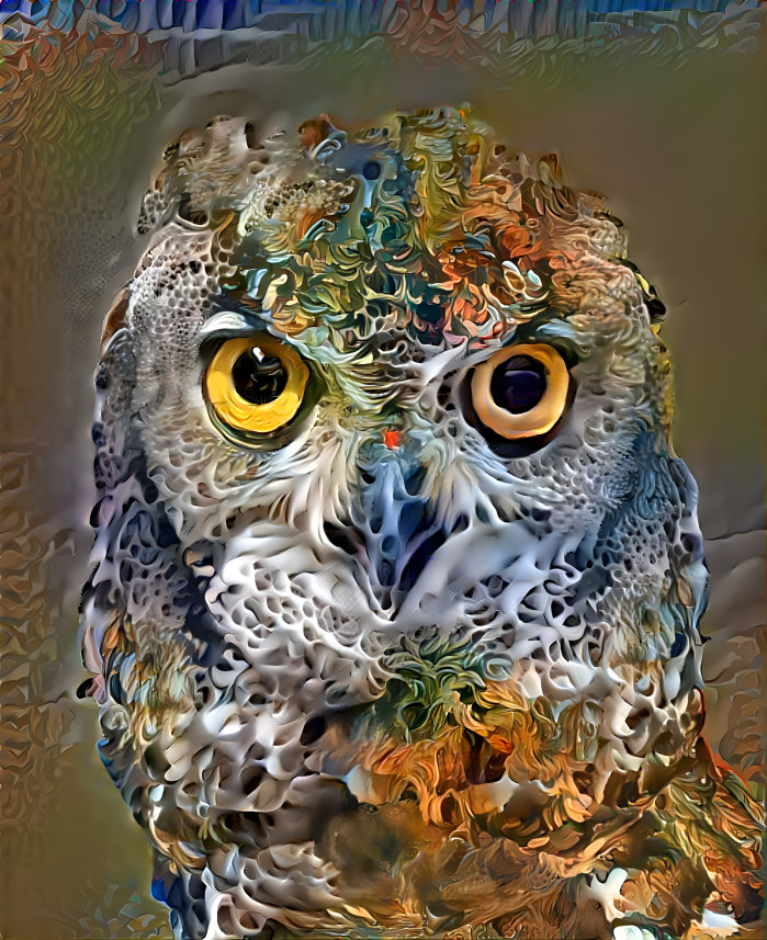 Owl