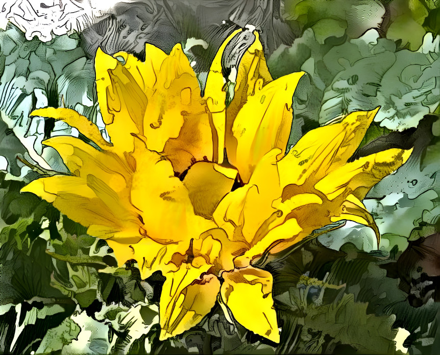 Yellow Flower