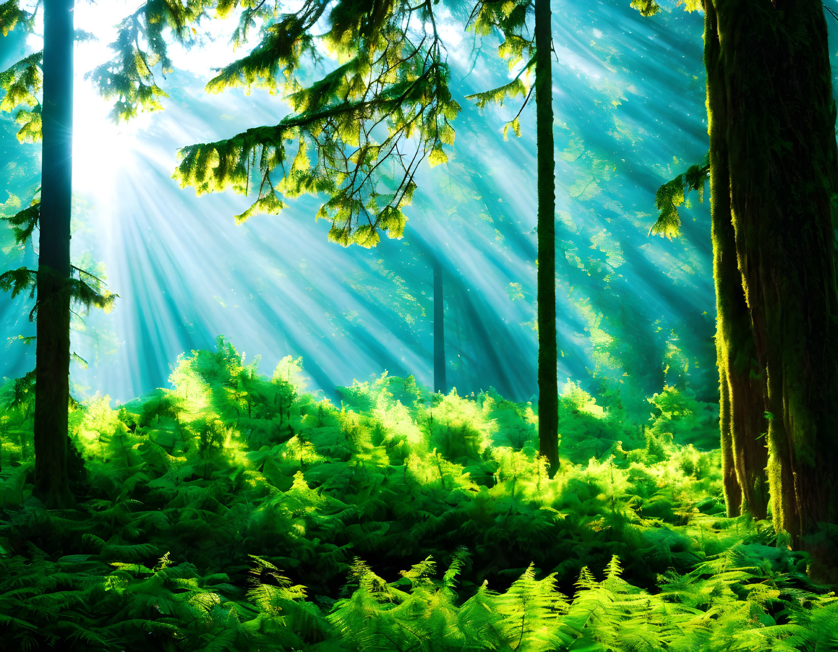 Lush green forest with vibrant sunlight and fern-covered floor