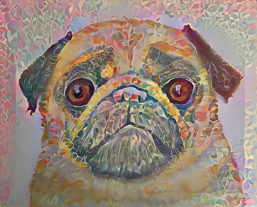 Pug