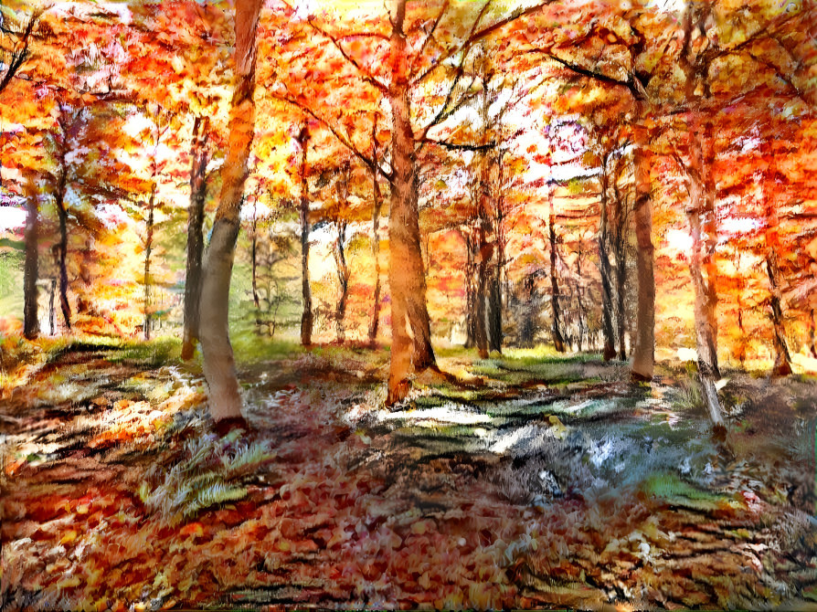 Autumn woods