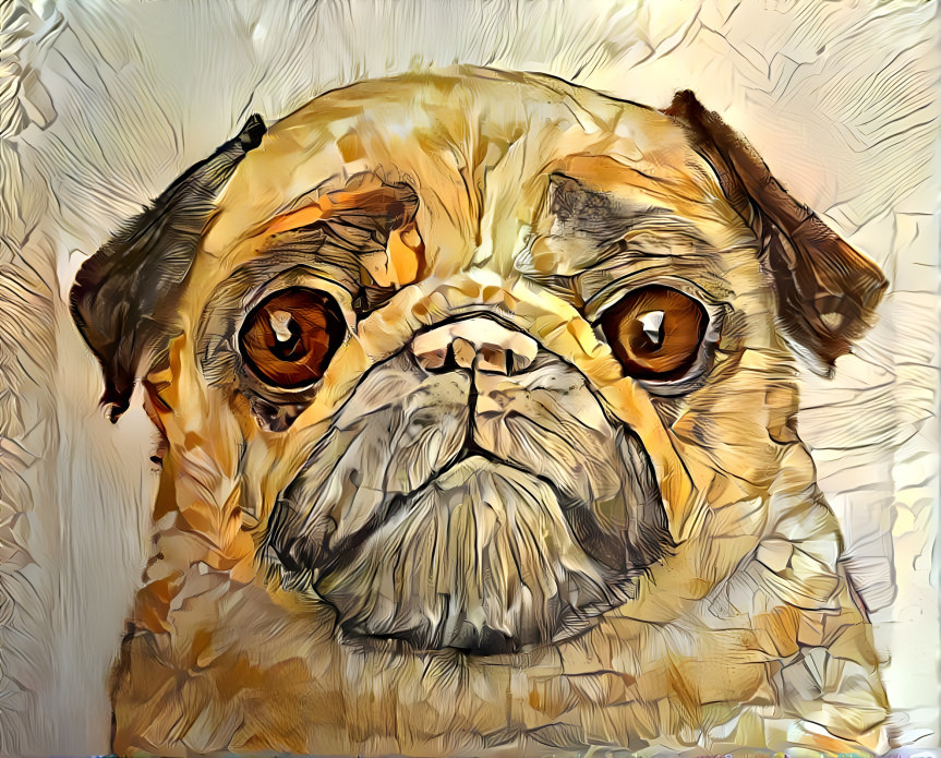 Pug