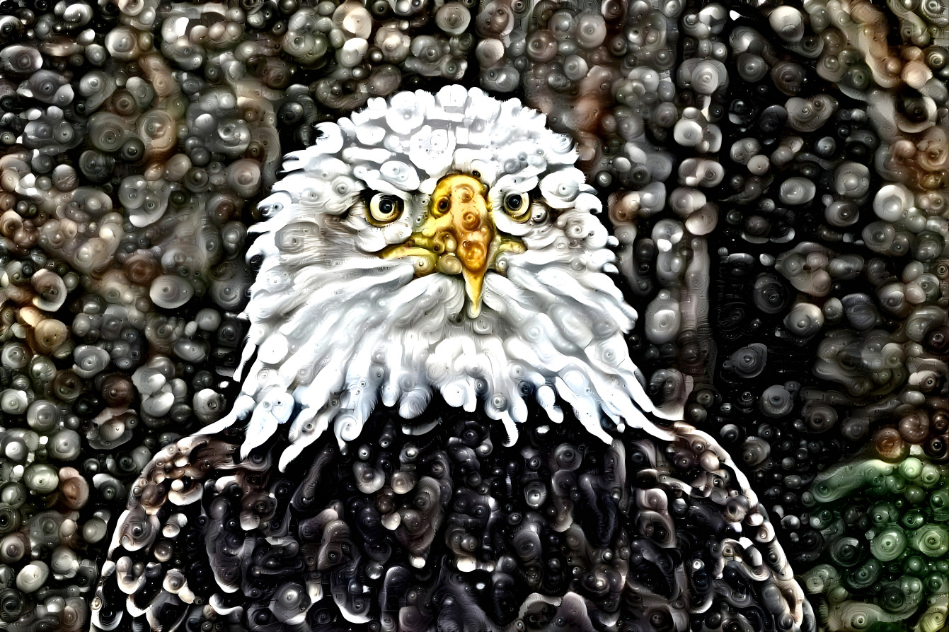 Eagle