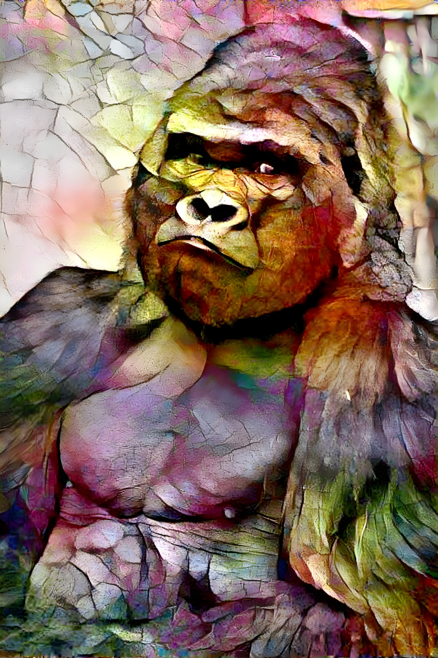 gorilla