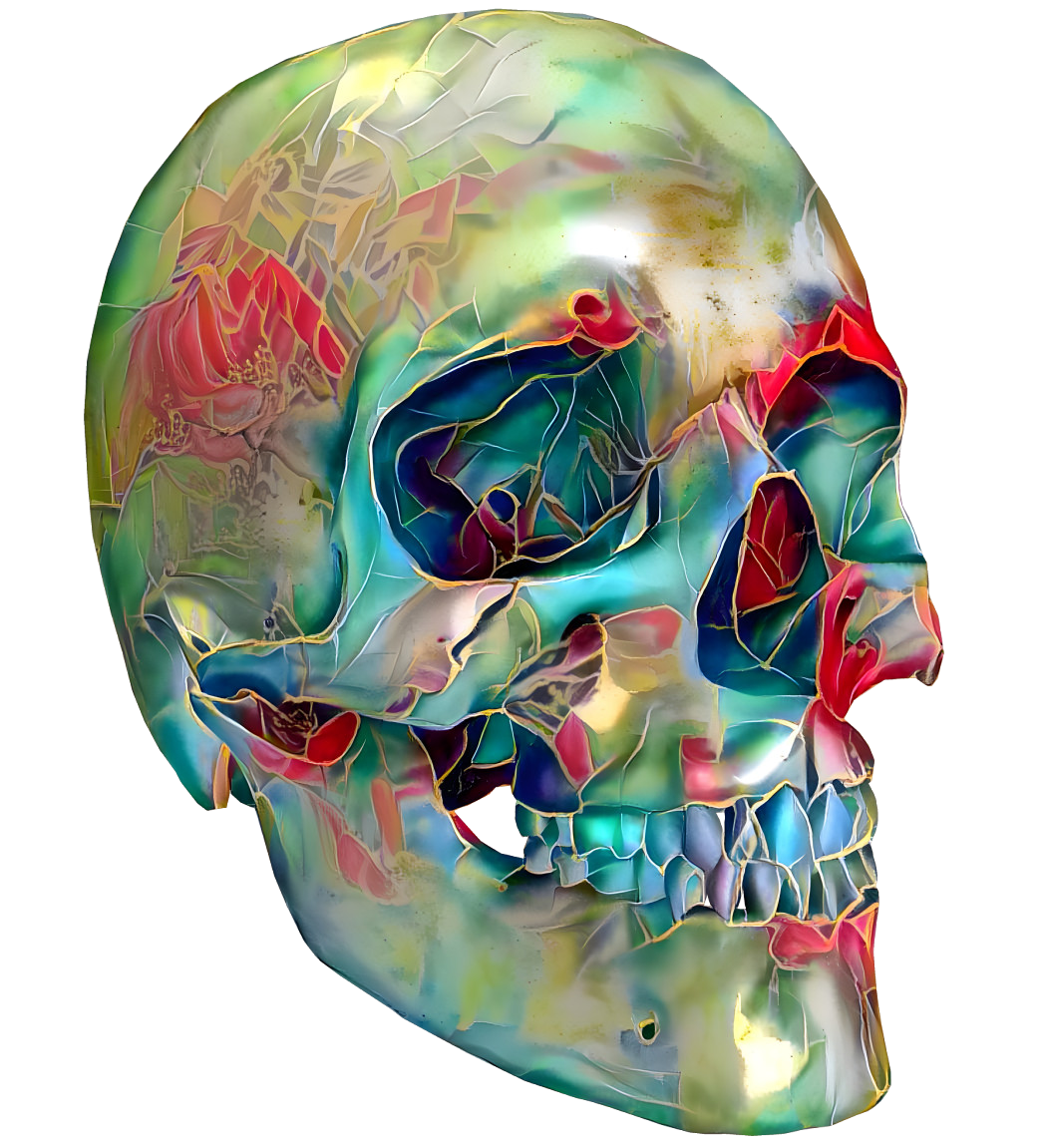 skull