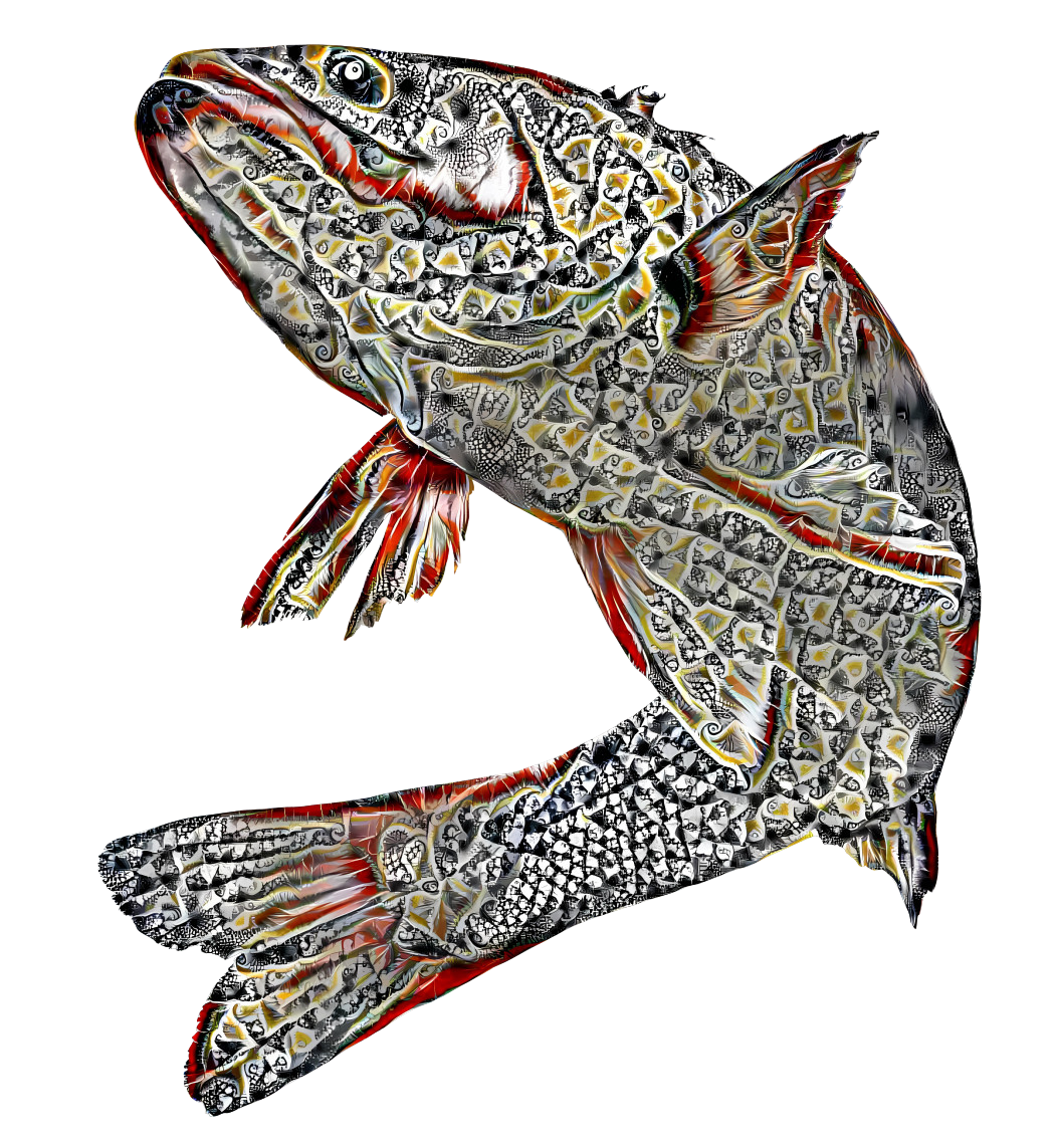 Fishy Art