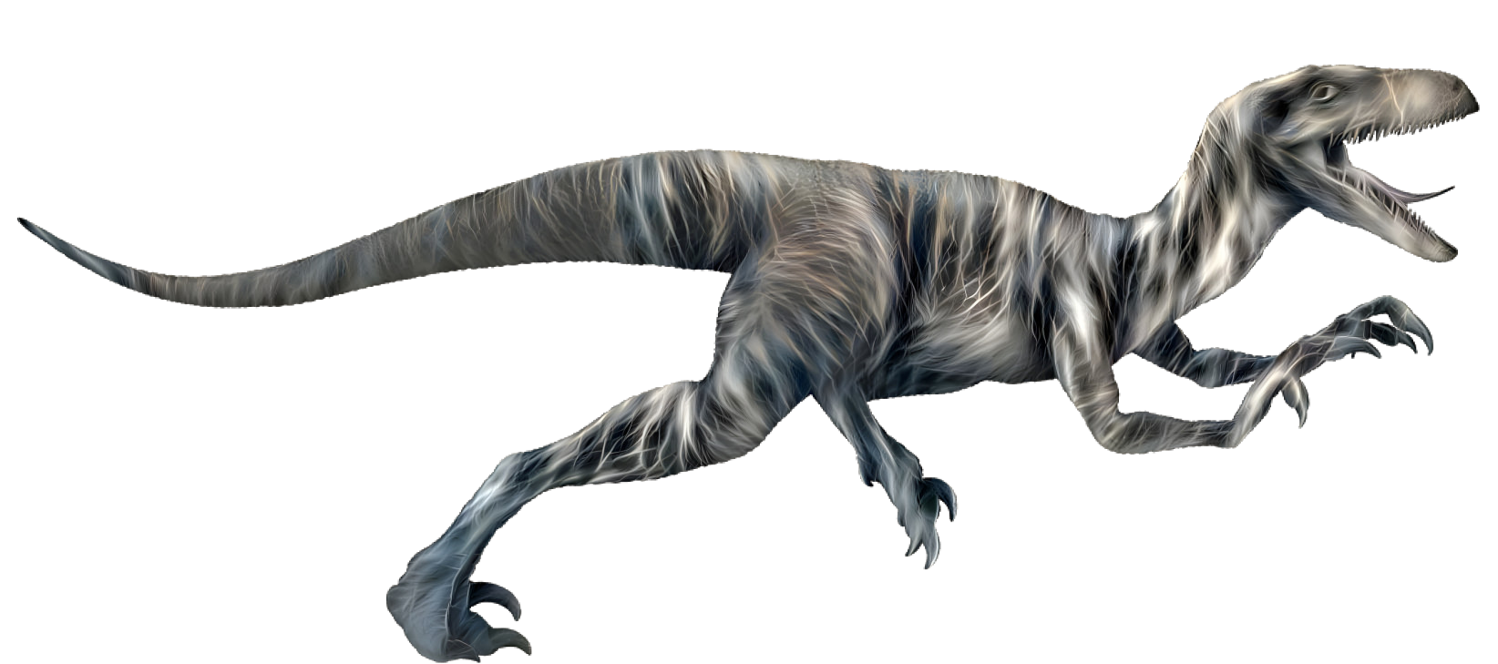 A nice Velicoraptor