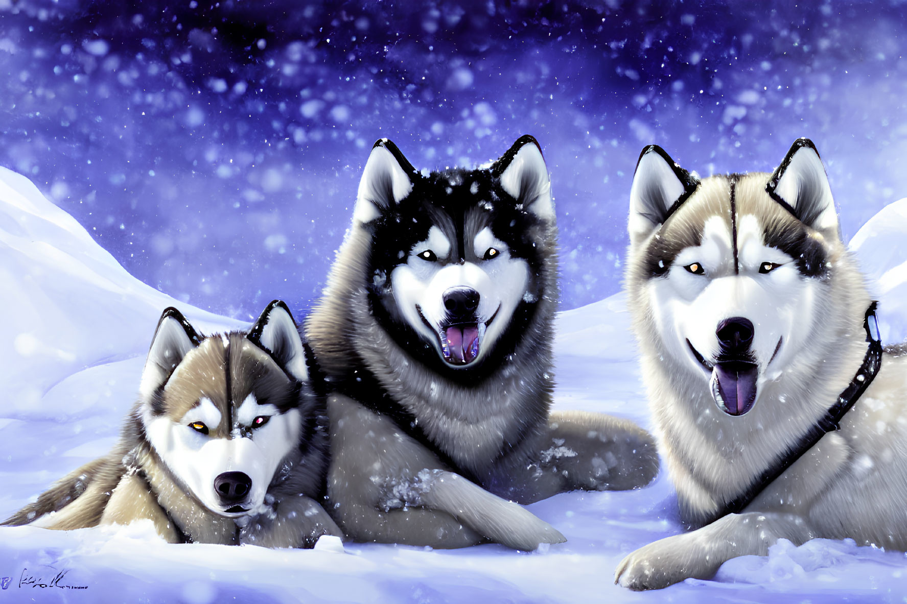 Three Siberian Huskies in Snow with Falling Snowflakes at Twilight