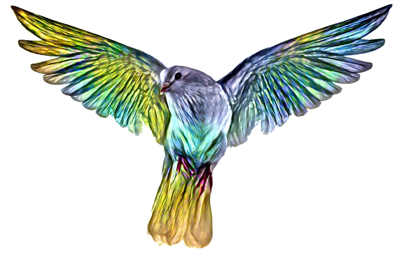 Rainbow pigeon