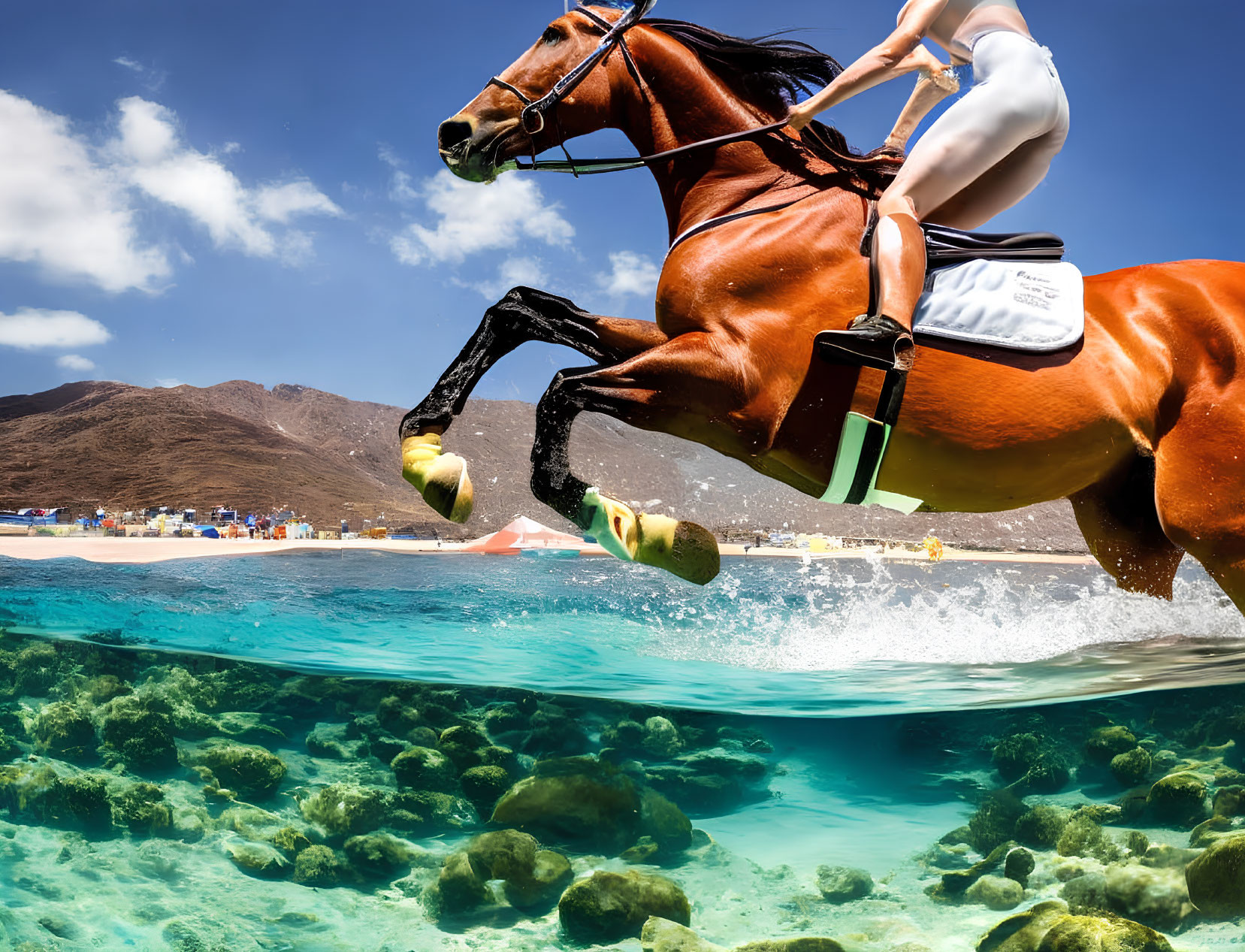 Horse and rider galloping in shallow water with marine life and beachfront scenery