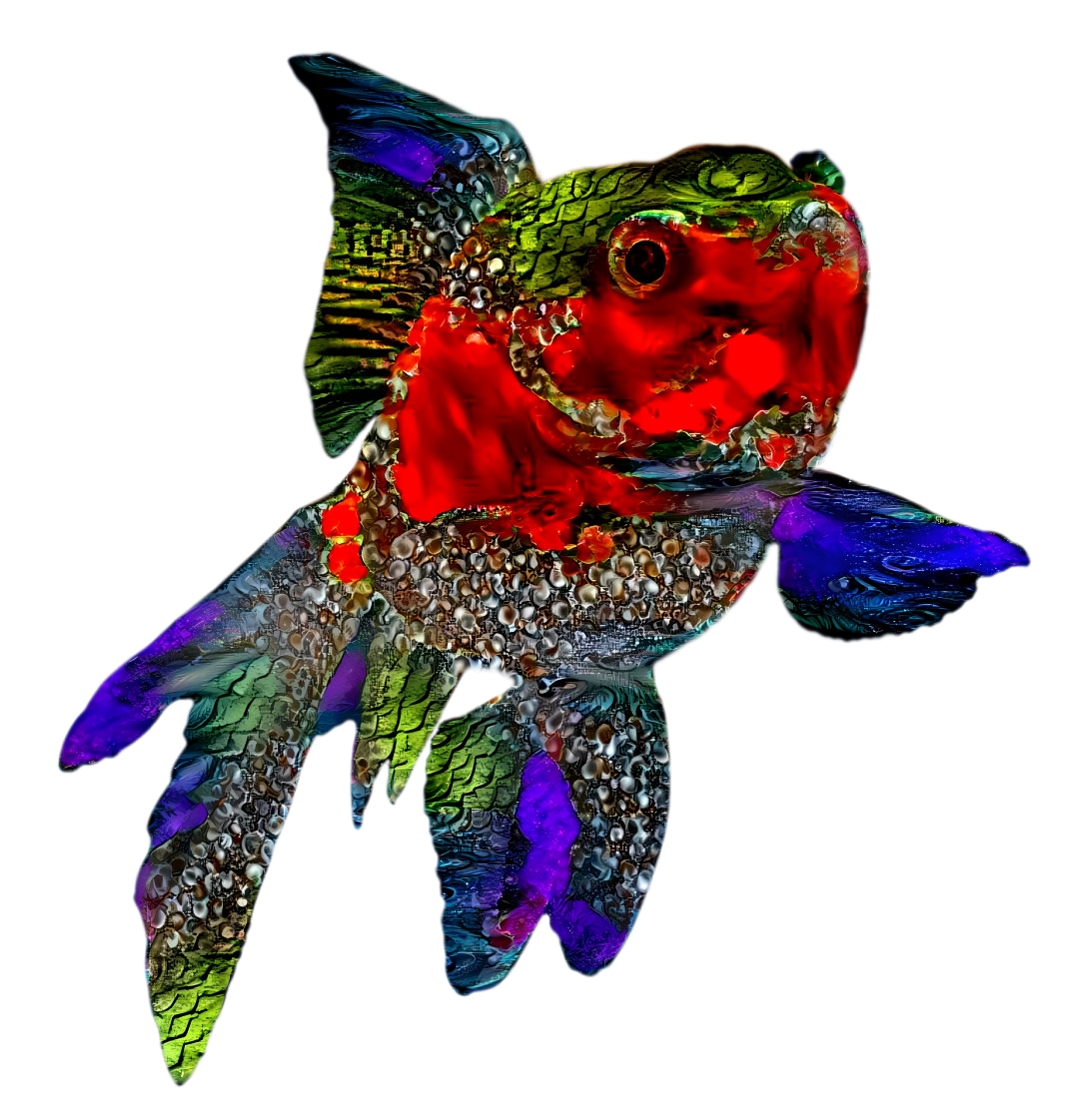 A colorful fish