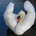 Intricate Sculpture of a Detailed Swan with Gemstone