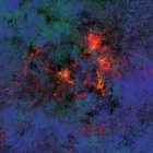 Mystical figure with foliage and glowing trees in stars
