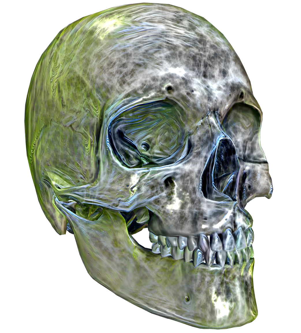 skull