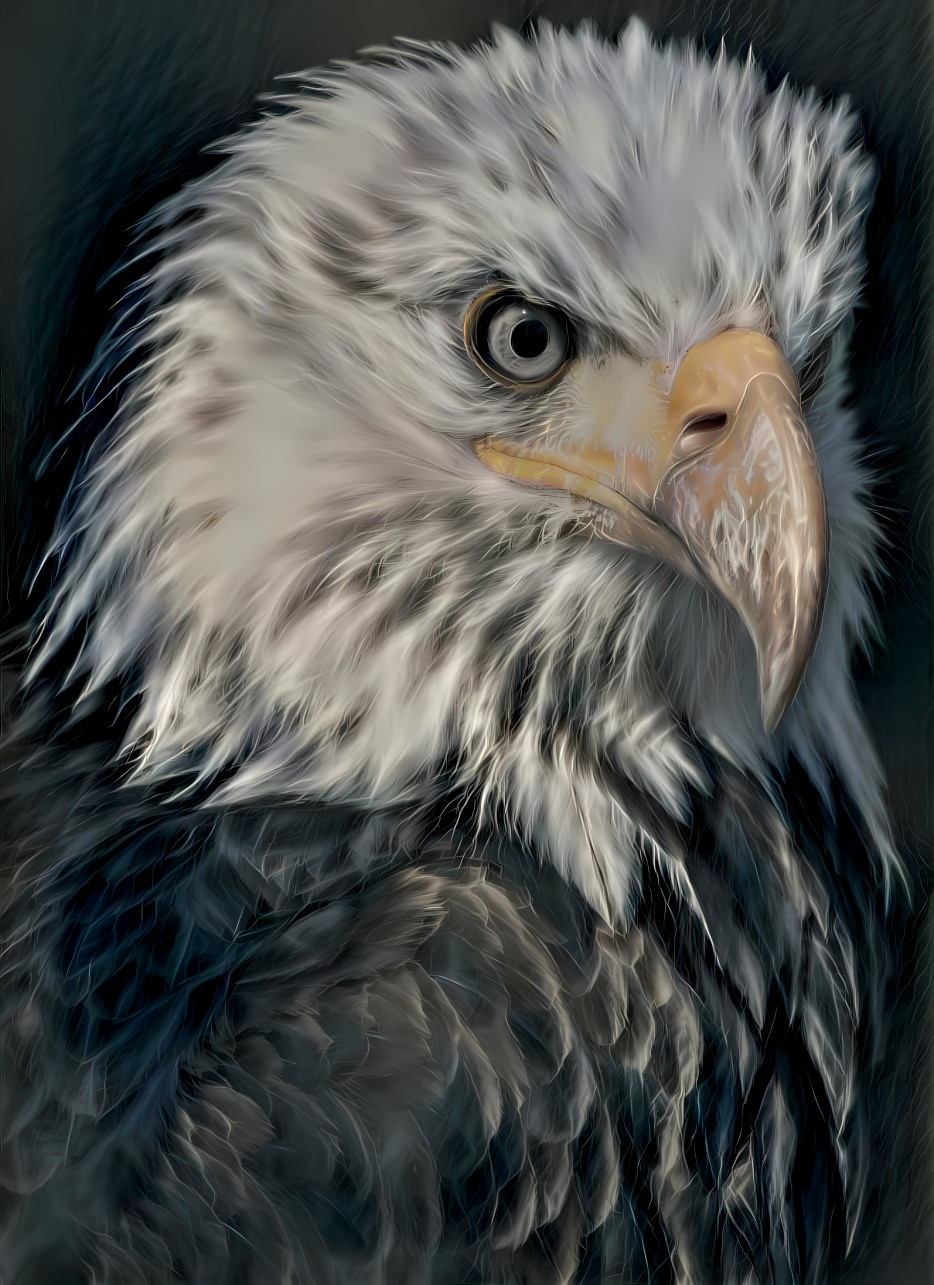 Eagle