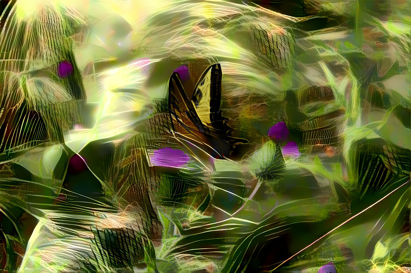 'Butterfly'