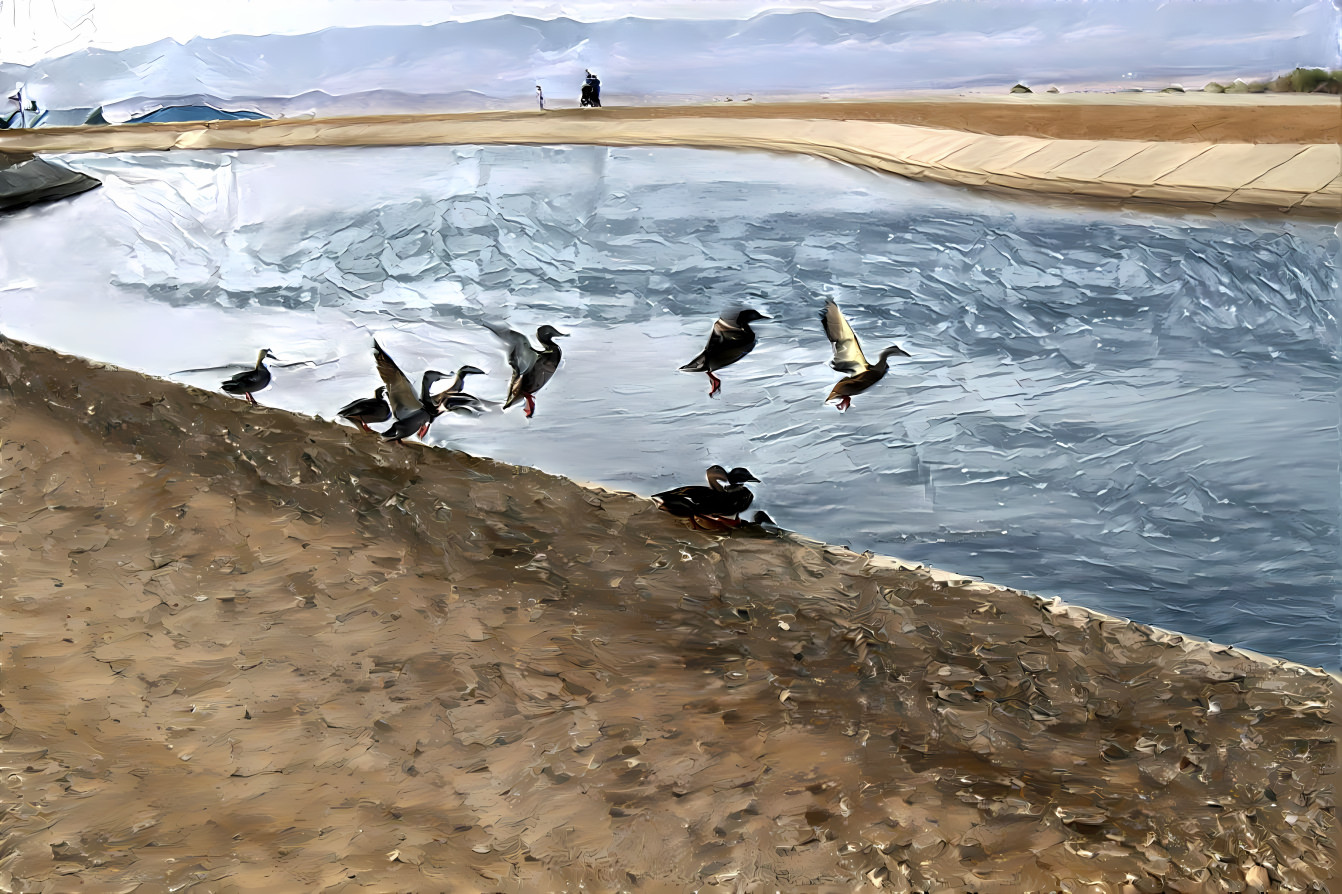 'The California Aqueduct'