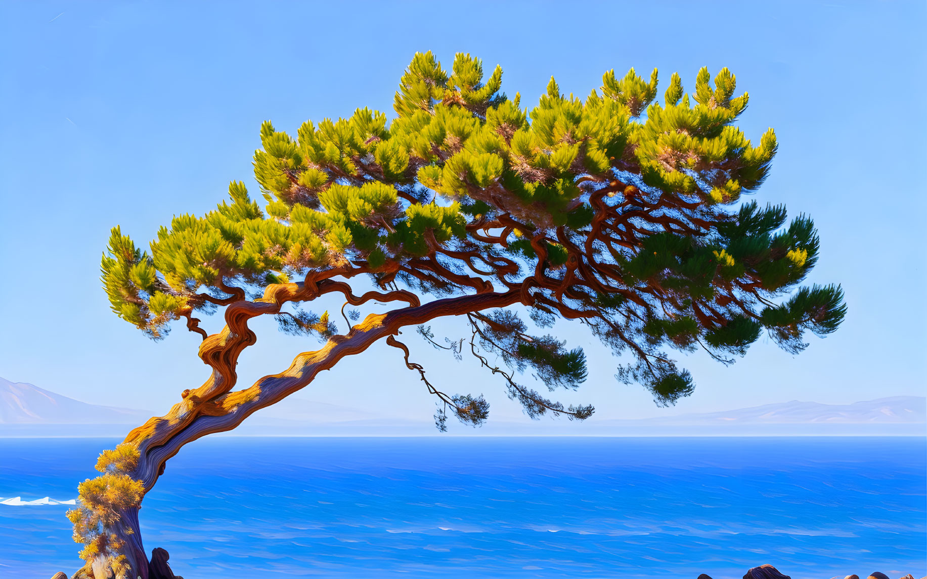 Colorful illustration: lone pine tree by serene sea under clear sky