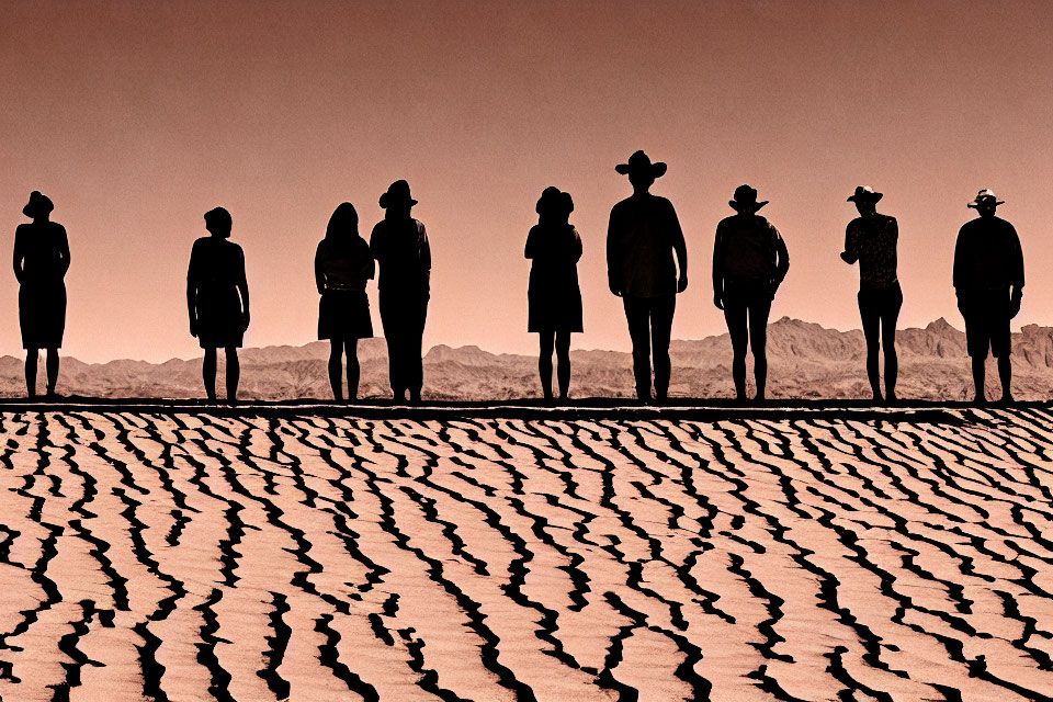 Nine individuals in hats standing in a desert landscape