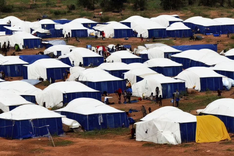 Rows of white tents in refugee camp against grassland background