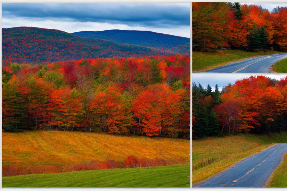 Collage of Three Autumnal Scenes with Red and Orange Foliage