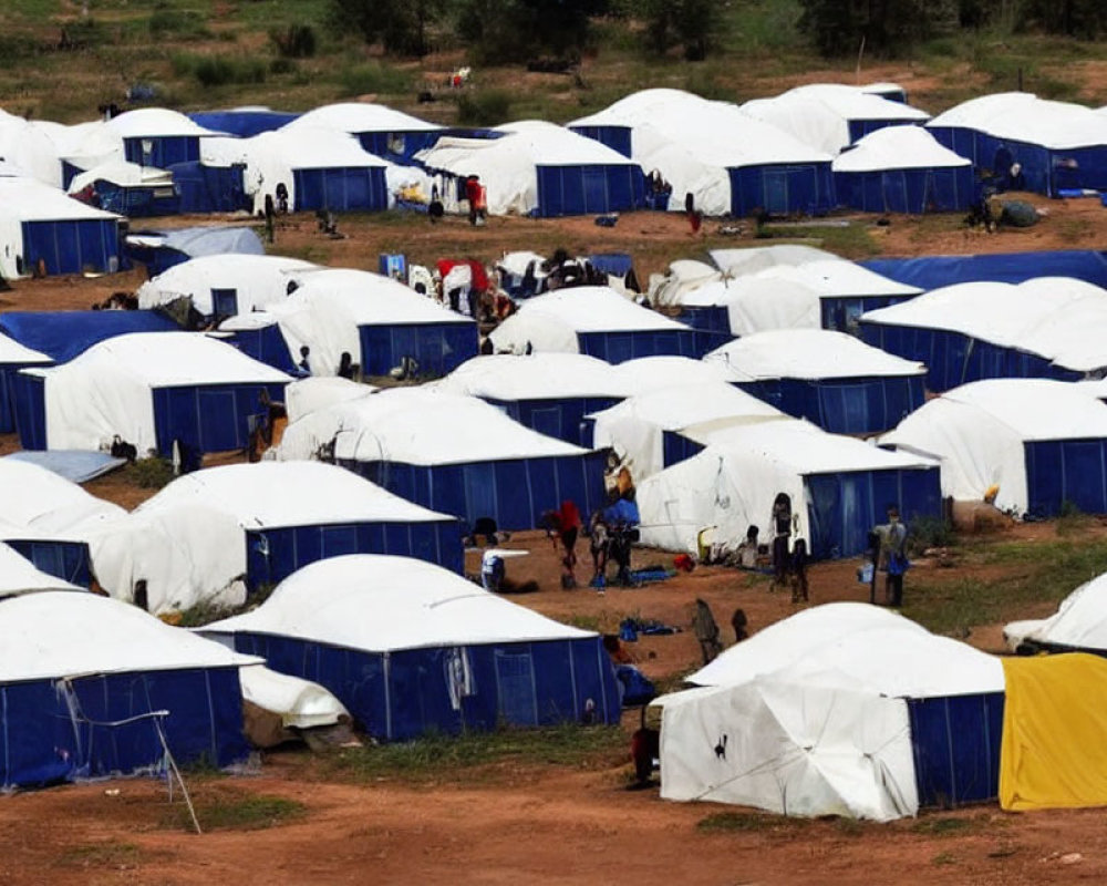 Rows of white tents in refugee camp against grassland background