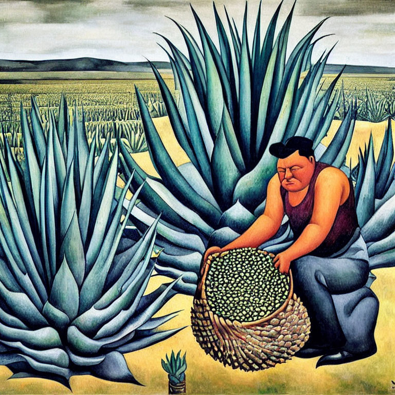 Worker harvesting blue agave plants under vast sky