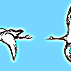 Stylized Birds in Flight on Light Blue Background