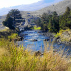 Tranquil lake, lush flora, snow-capped hills: picturesque landscape.