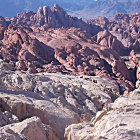 Colorful desert landscape painting with tall rock formations and vibrant flora under blue sky