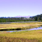 Vibrant landscape: rolling hills, wildflowers, scattered houses, tree-covered mountains, blue sky