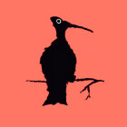 Stylized black and orange birds on branch with pink background