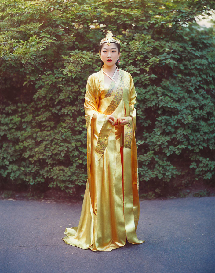 Traditional East Asian Attire: Person in Golden Robe with Intricate Designs