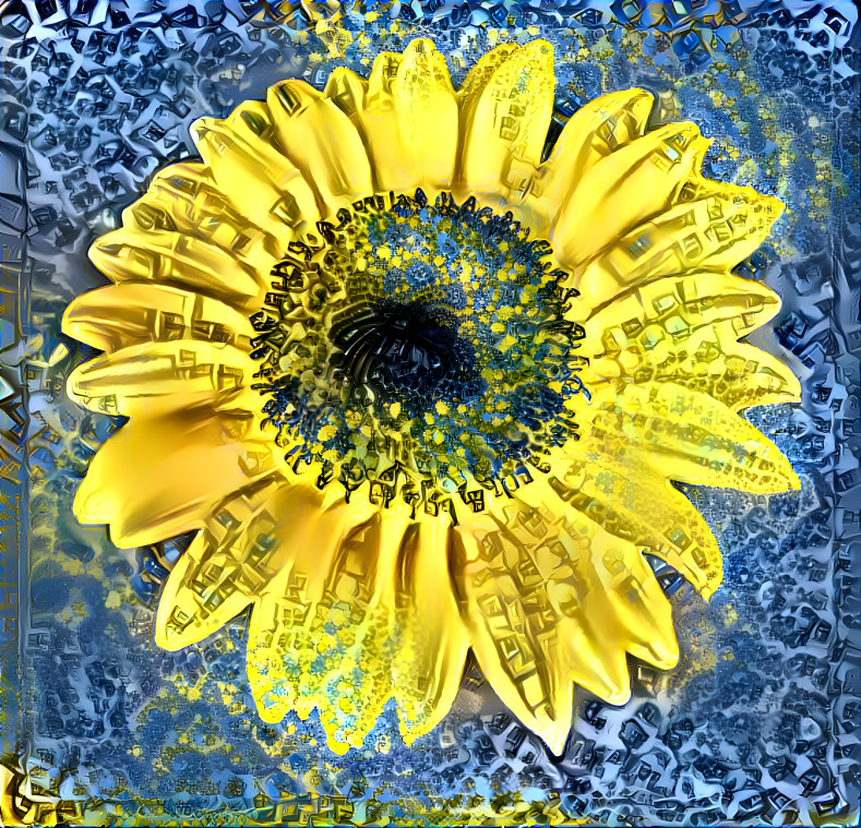 Sunflower Peace