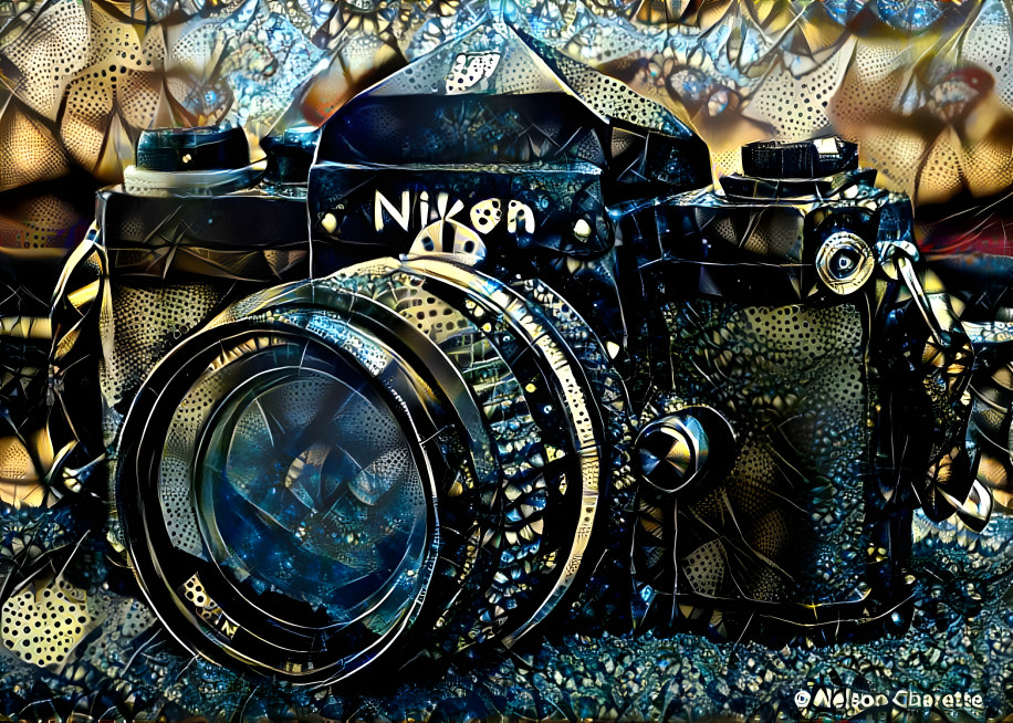 My Old Nikon Camera