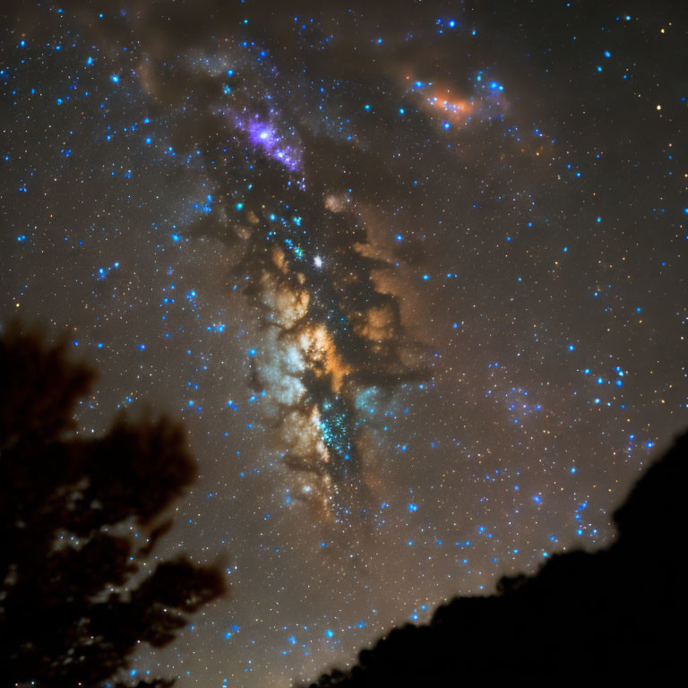 Starry Night Sky Over Silhouetted Trees and Rock Formation