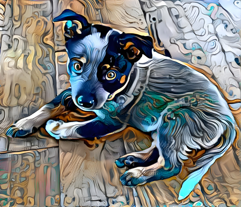 Blue Healer