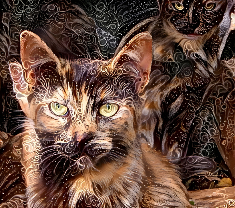 Camouphlage Cats