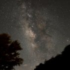 Starry Night Sky Over Silhouetted Trees and Rock Formation