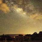 Night Sky Watercolor Painting with Galaxy Formation and Forest Silhouette