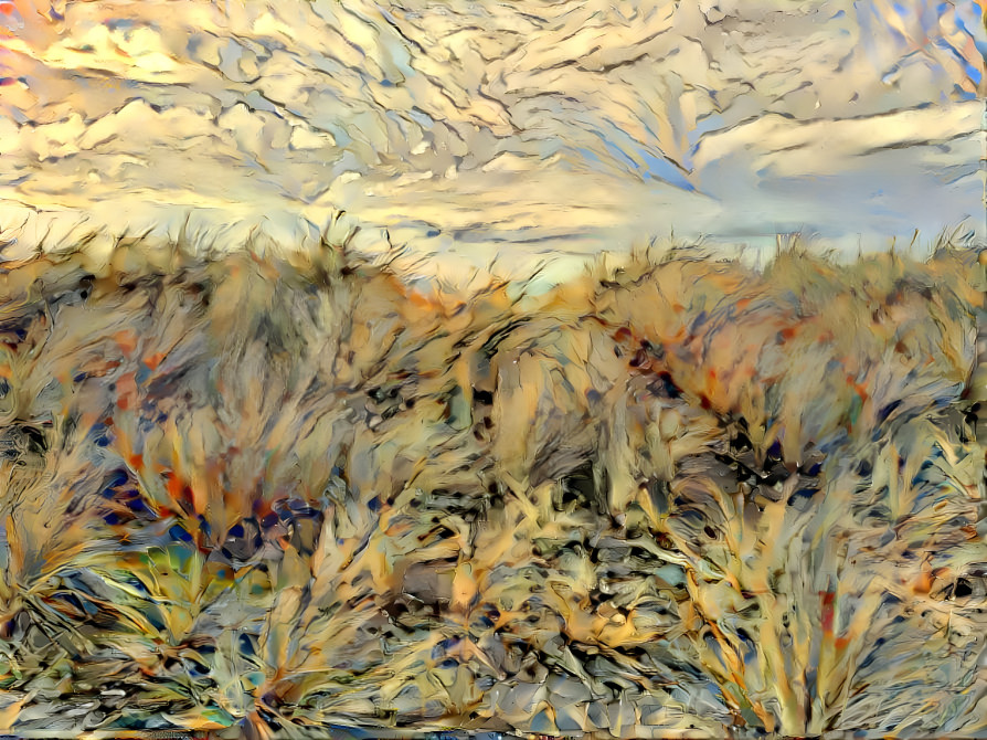 dune grass