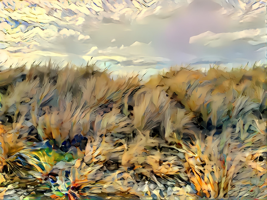 Beach grass