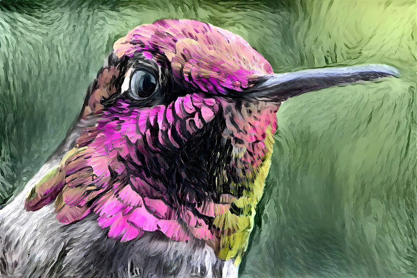 paint hummingbird