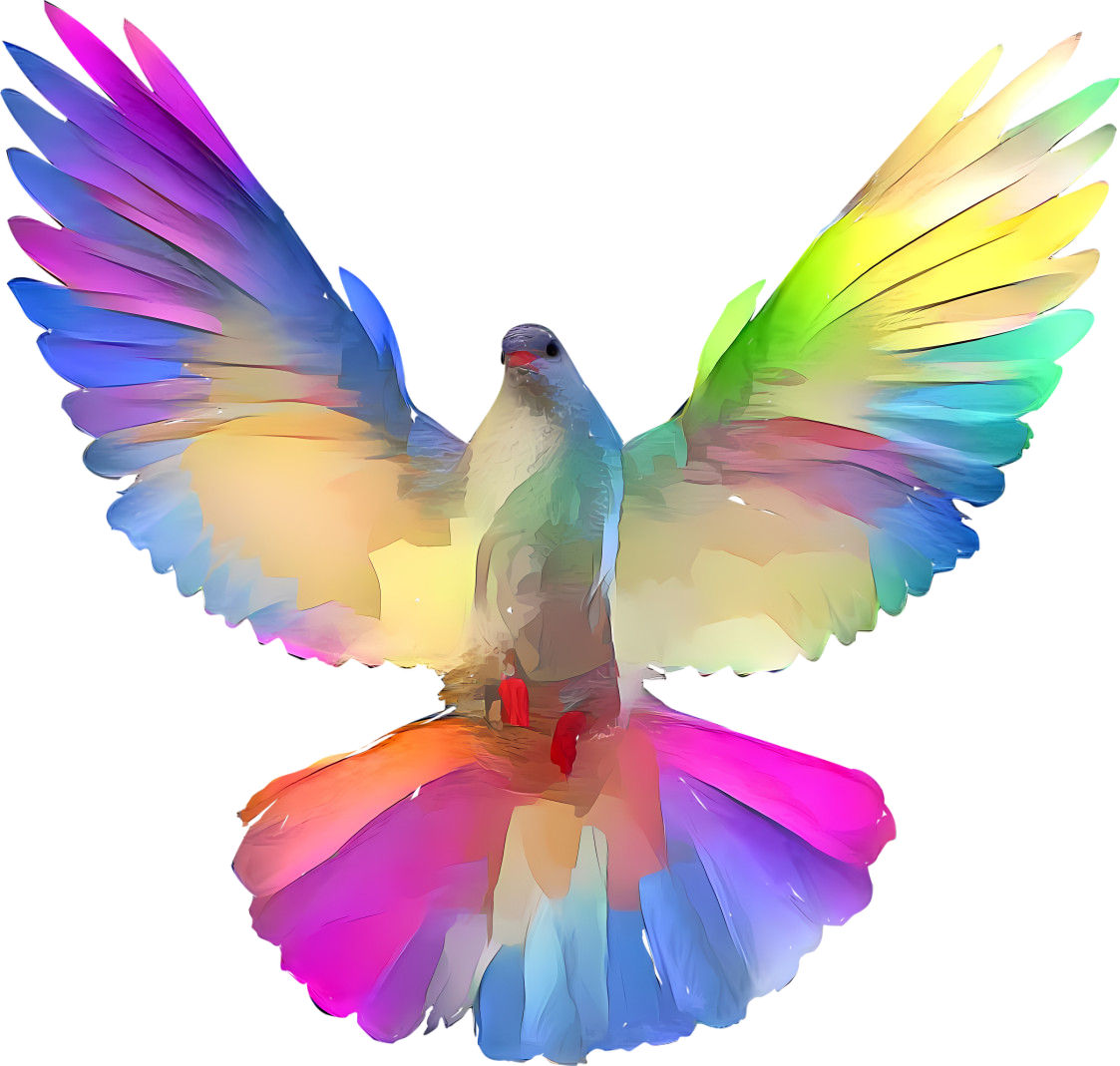 colorful dove