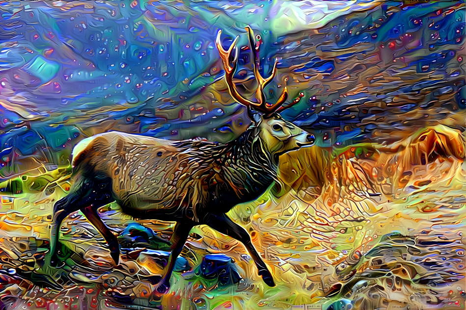 Stag