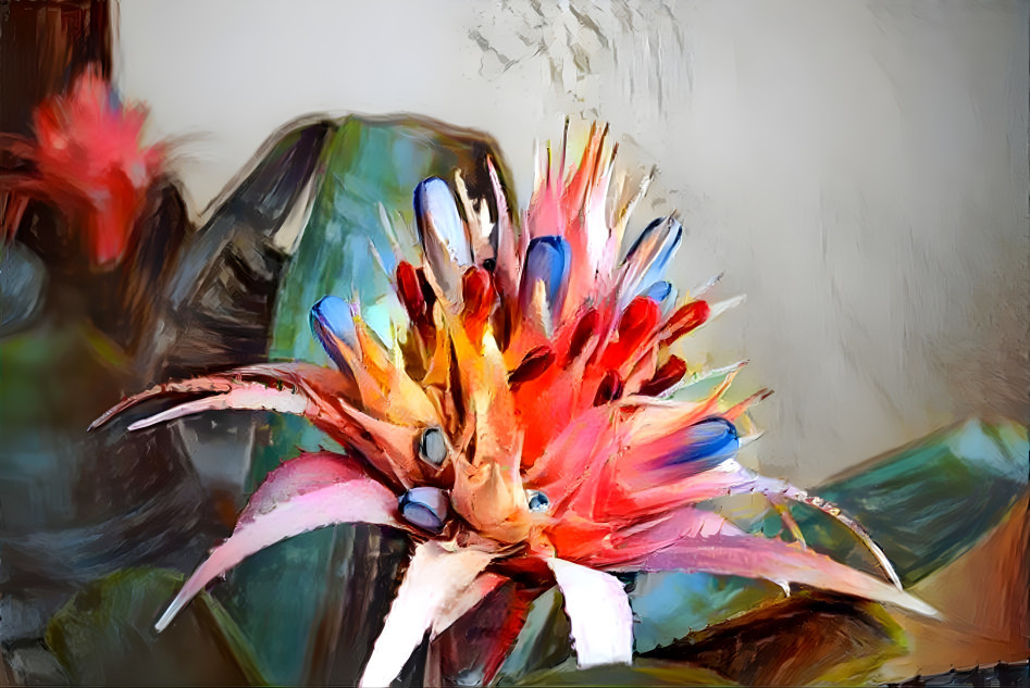 color me bromeliad