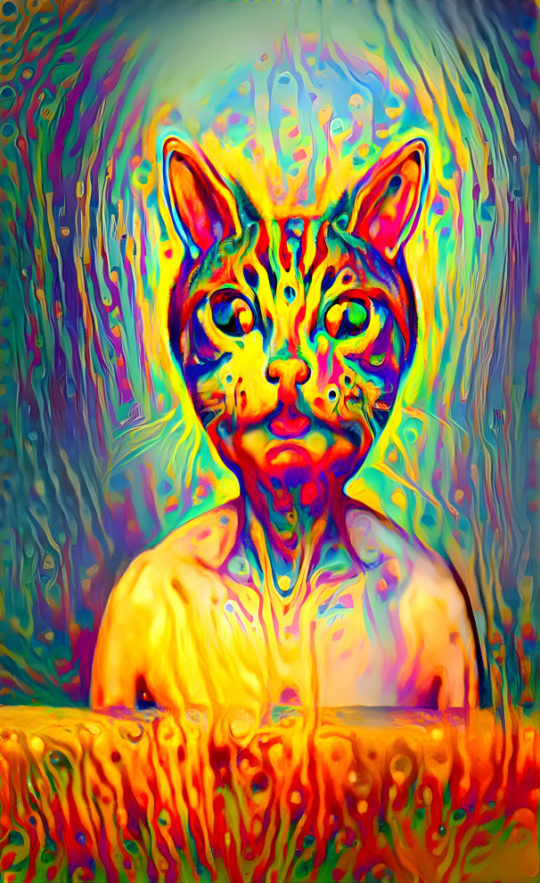 Cat head dude body