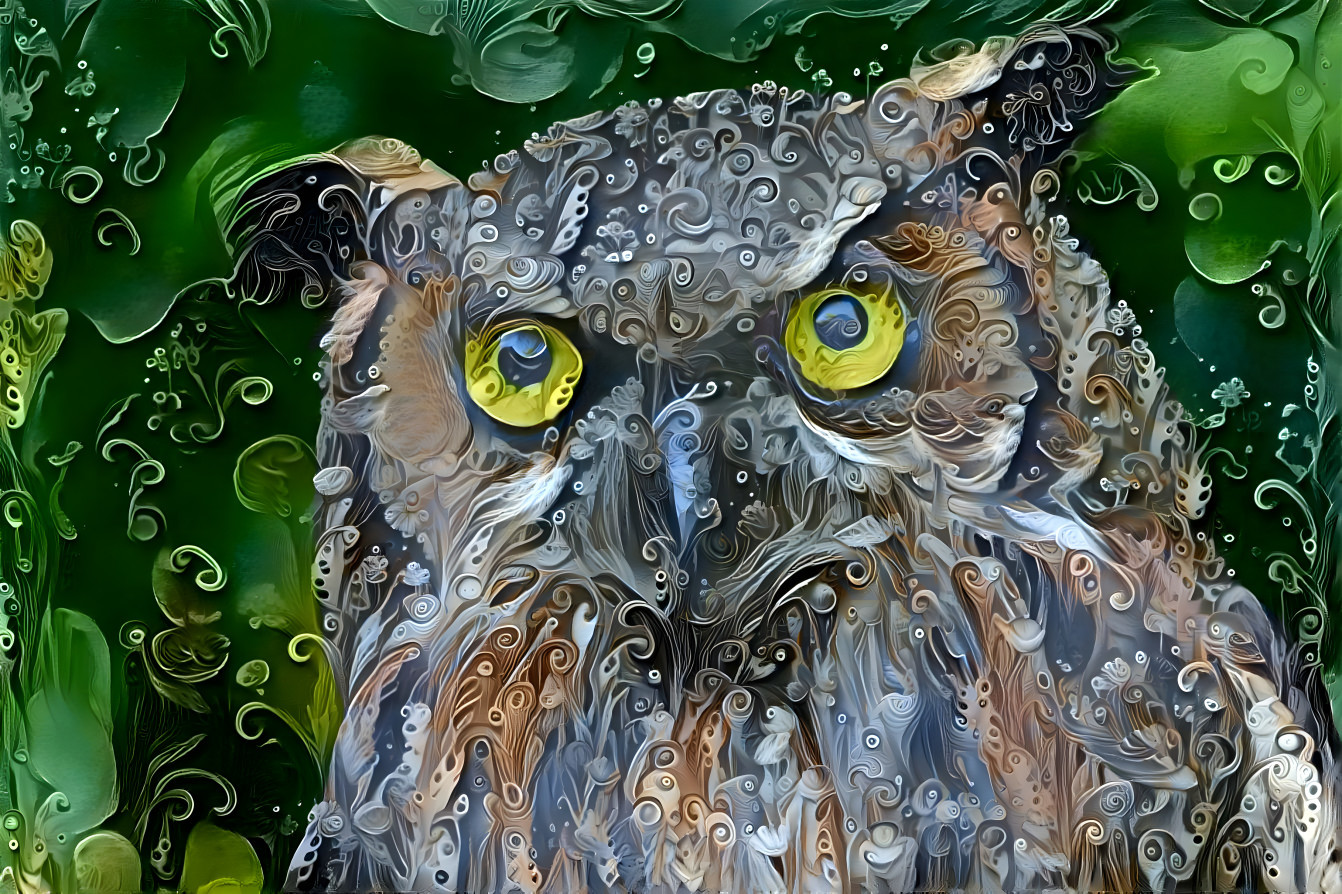 Owl